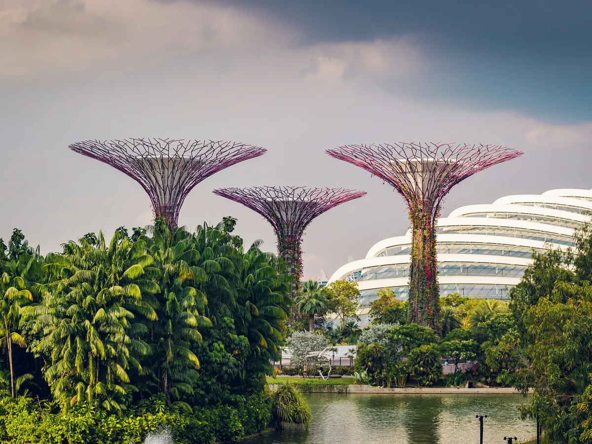 The Supertree Grove at Gardens by the Bay, with the conservatory domes behind, Singapore